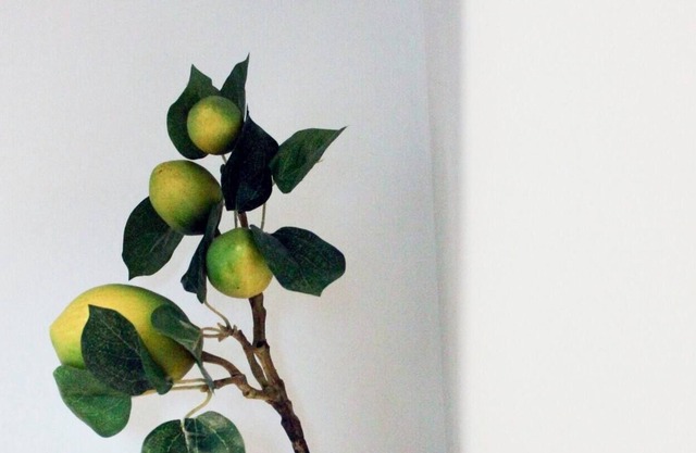 Sky Suites - Suite 5