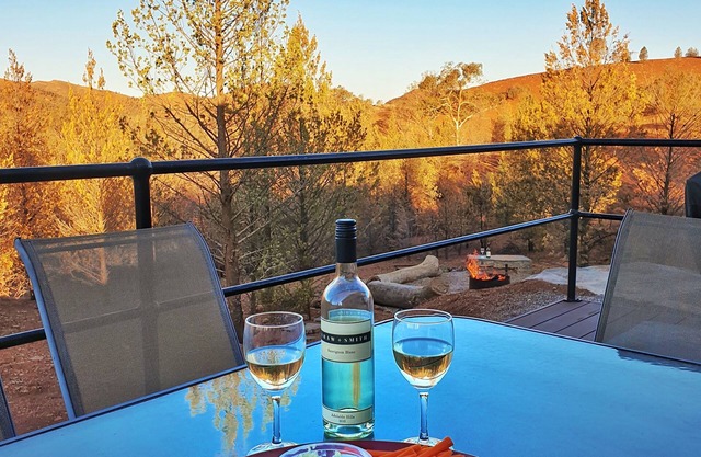 Skytrek Willow Springs Station