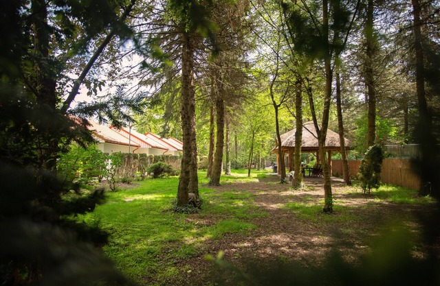 Sleep at birdy countryside, only 5 km from Niepołomice. Breakfast included.