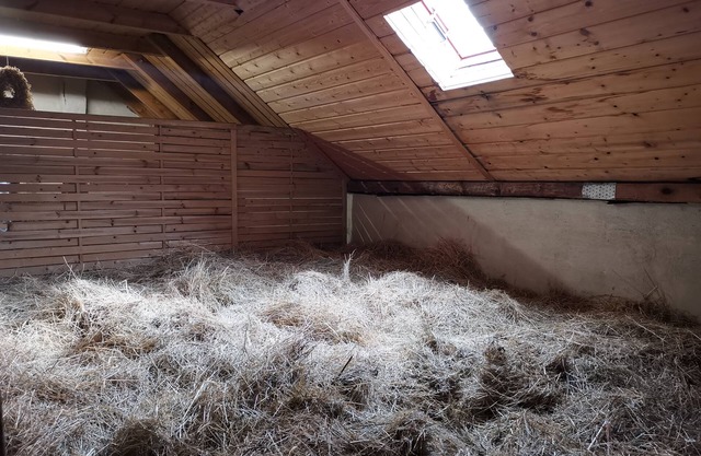 Sleeping in the hay/hay bed - Ferienhof Sarodnick