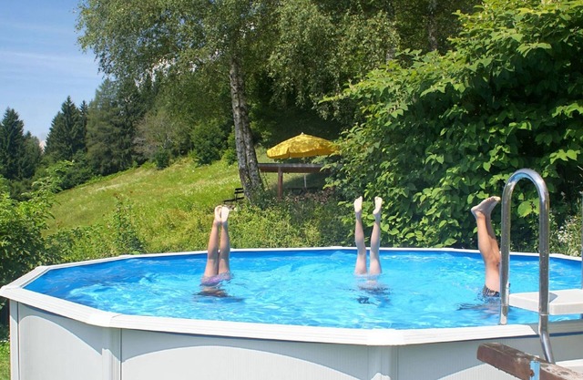 Small Pet-friendly Holiday Park With Nassfeld Card in High Season