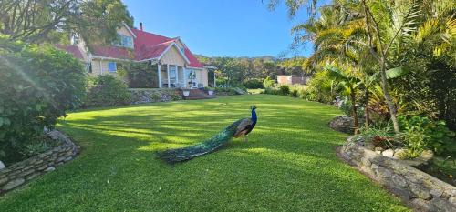 Soggy Bottom Farm House, Sea views and peacocks