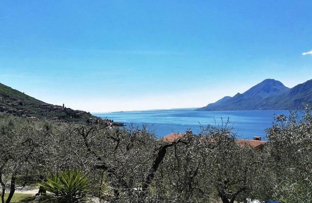 SOLE: Welcoming apartment , relaxation,lake mountains olive grovess.