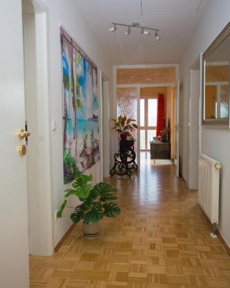 Sonne, Mond und Sterne