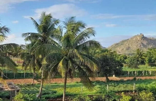 Soothing apartment with AC in picturesque Nandi Hills