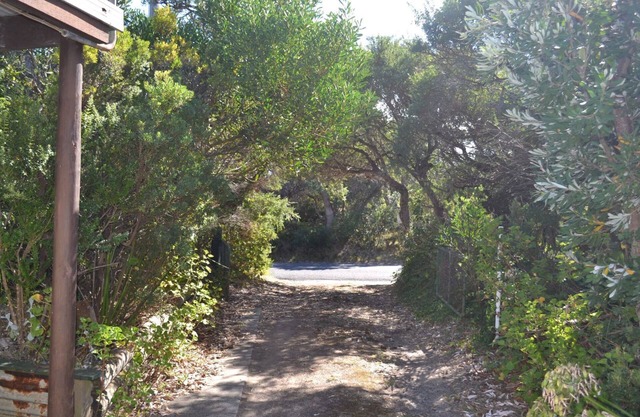 Sound Of The Surf - pet friendly