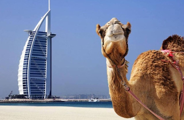 Spacious 2 Bedroom w/Infinity Pool Near DWTC