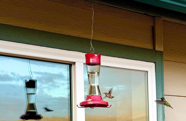 Spacious 4-bedroom house near wonderful Sequoia and Kings Canyon National Park