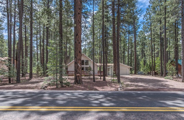 Spacious A-frame cabin,3BR, 3BA, two Ensuites backing to the forest! King BR