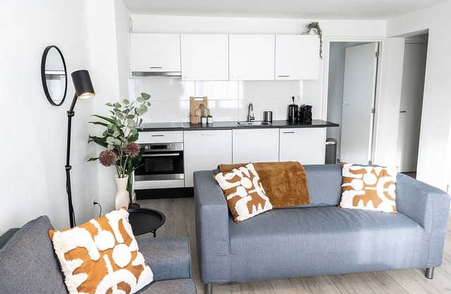 Spacious and stylish apartment