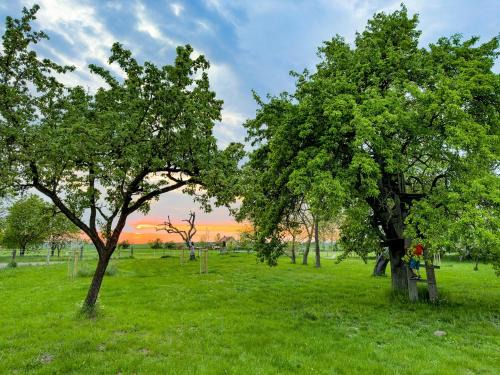 Spacious Apartment With Terrace And Garden View