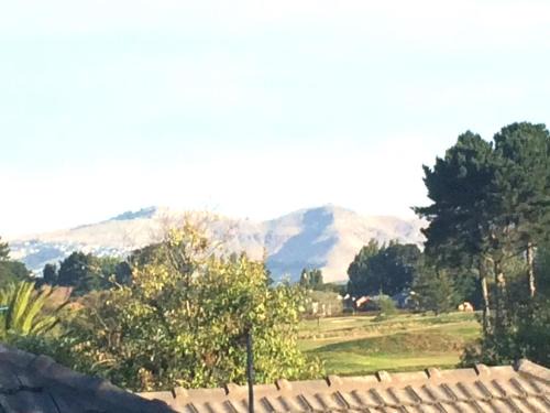 Spacious City Apartment With Amazing Views