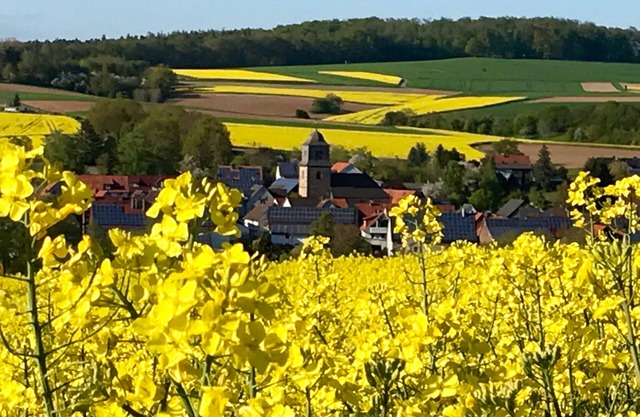 Spacious, comfortable apartment on the Little Red Riding Hood Cycle Path