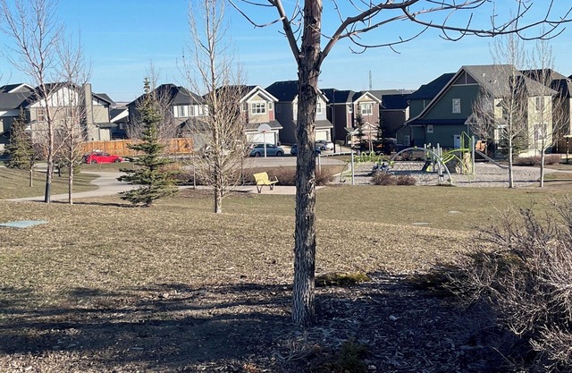 Spacious Cozy Legal Basement Secondary Suite in NW