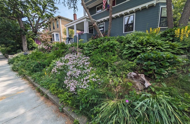 Spacious family 5-bedroom with yard and workspaces in historic Brookline
