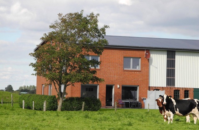 Spacious holiday house with a garden and a distant view of greenery