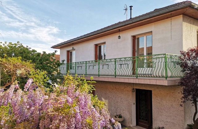 Spacious lodging with fireplace and terrace in Roanne