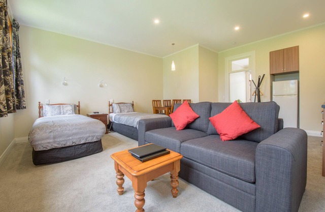 Spacious, Modern Studio Apartment below Coronet Peak