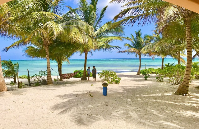 Spacious oceanfront home with palm trees, kayaks and spectacular views!