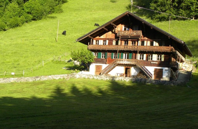 Spacious Swiss Alpine Chalet for Nature Lovers