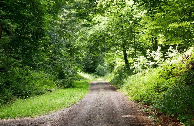 Spacious vacation apartment on the edge of the Palatinate Forest