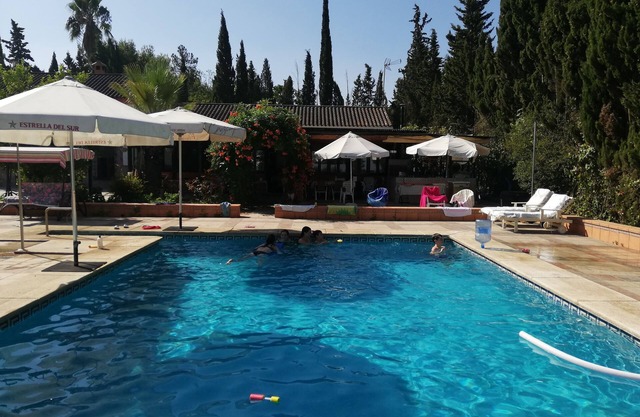 Spacious villa, private pool in huge grounds, orange trees, outskirts of Sevilla