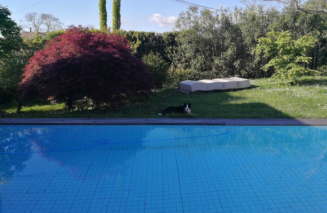 Spectacular villa in Mondariz, Casa Mirabal