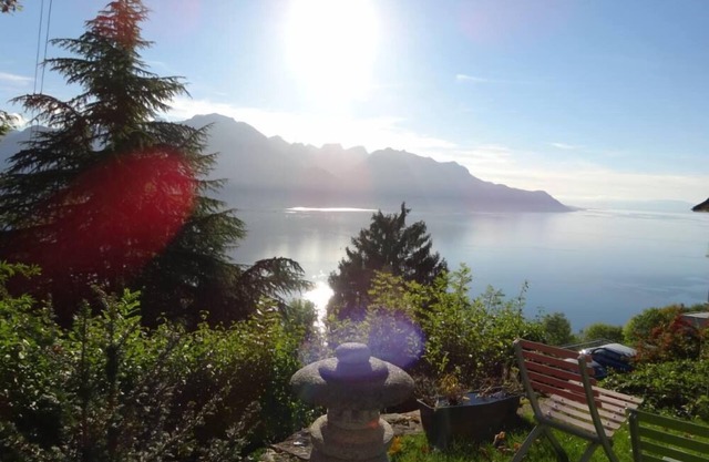 Spectacular view! Very nice apartment overlooking the lake and the mountains!
