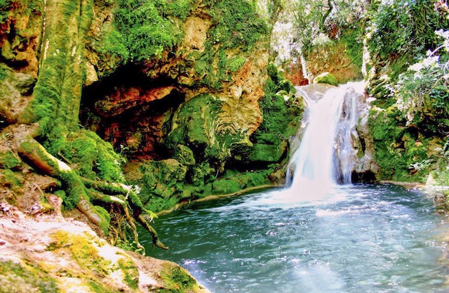 Spend an idyllic holiday in a holiday home just outside Cordoba.