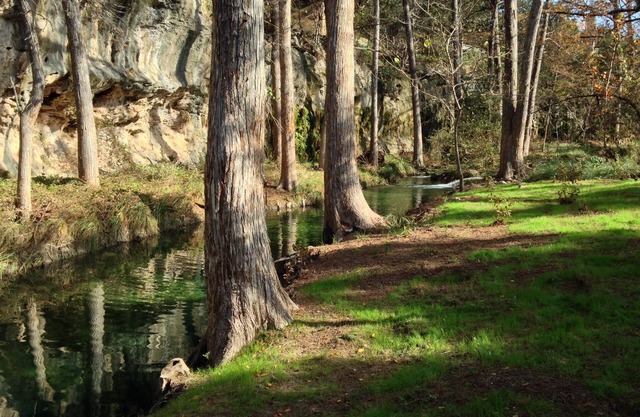 Spicewood’s Best Getaway for Fall with a Natural Spring Swimming Hole!