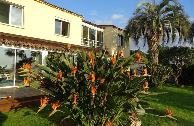 Splendid estate with 3 villas with sea and pool views in Porticcio