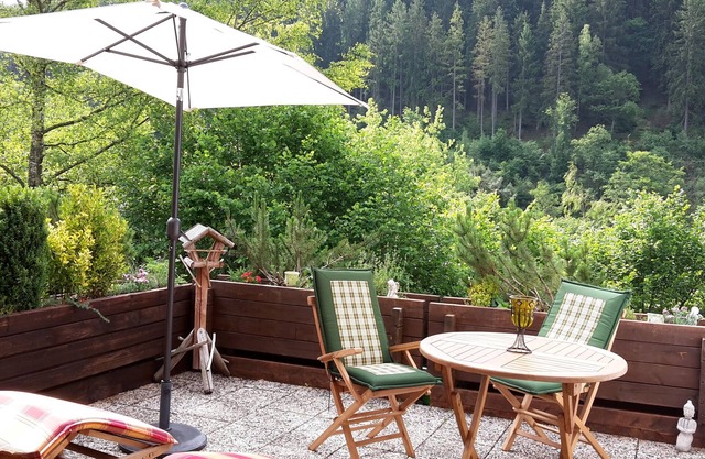 * Star apartment, large terrace on the south slope with panoramic views near the Rursee