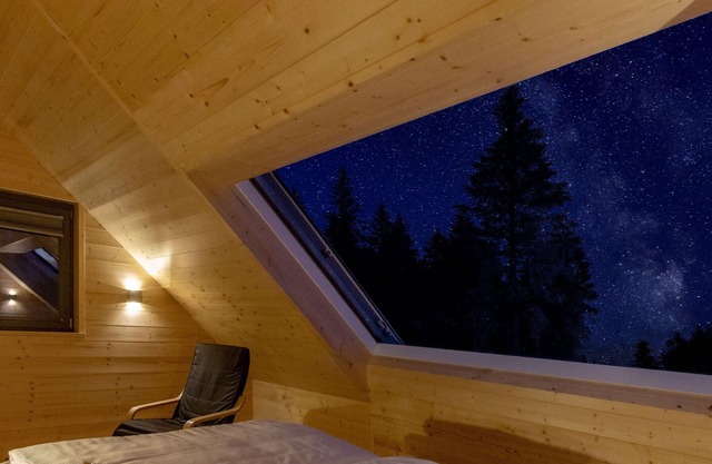 Star park house with skylight