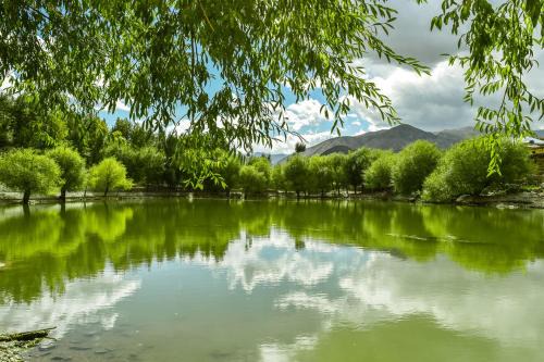 stargazing homestay Nako