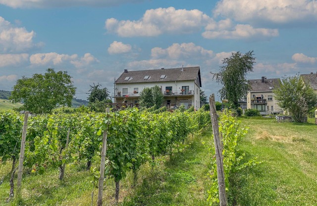 Stay at the wine-farmer, directly at the Moselle