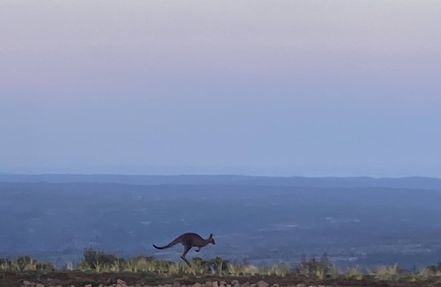 Stay on the escarpment, rural retreat, forest bathe, stargaze, amazing views