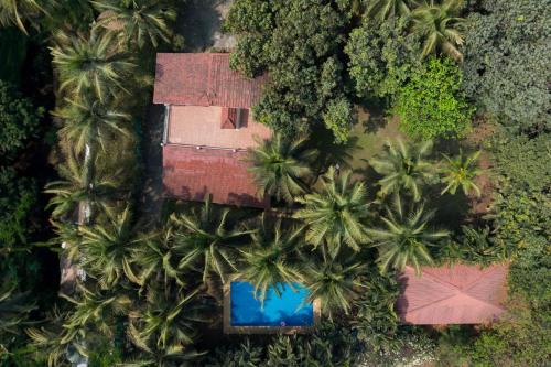 StayVista at Shades of Nature - The Hidden gem