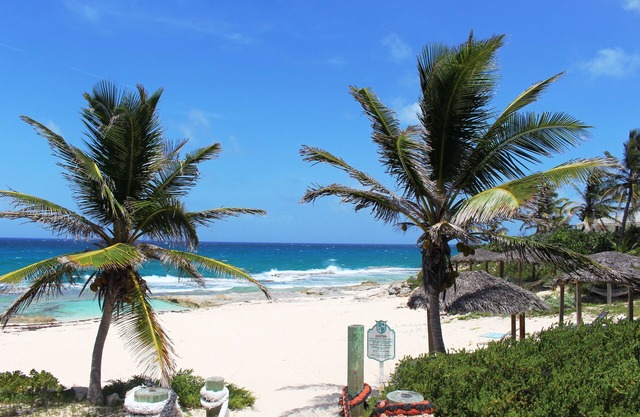 Stella Maris Resort Club