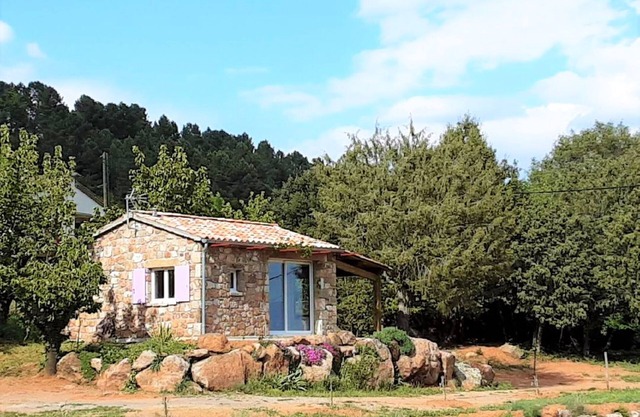 Stone House in France with Pool & Vineyards