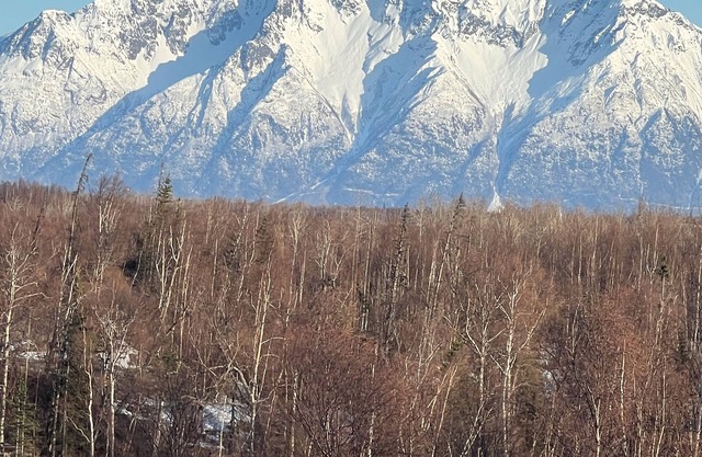 STORMY HILL RETREAT on Gooding Lake