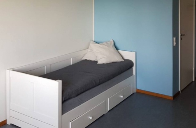 Student Only: Coveniently-located Apartment in Klintvagen