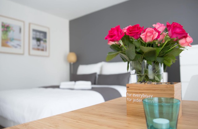 Studio 44 - Apartment PAUL; Center, free Wi-Fi and cycle hire