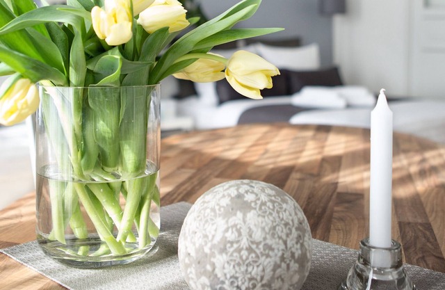 Studio 44, apartment RIEMANN 2; Center, free WiFi, bicycles