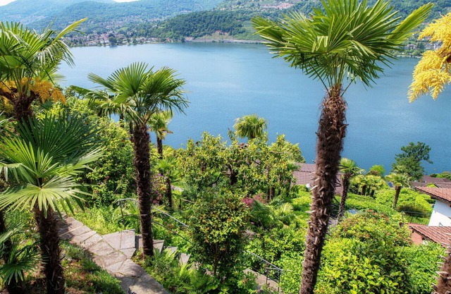 Studio apartment with lakeview terrace (LA PALMA 3)