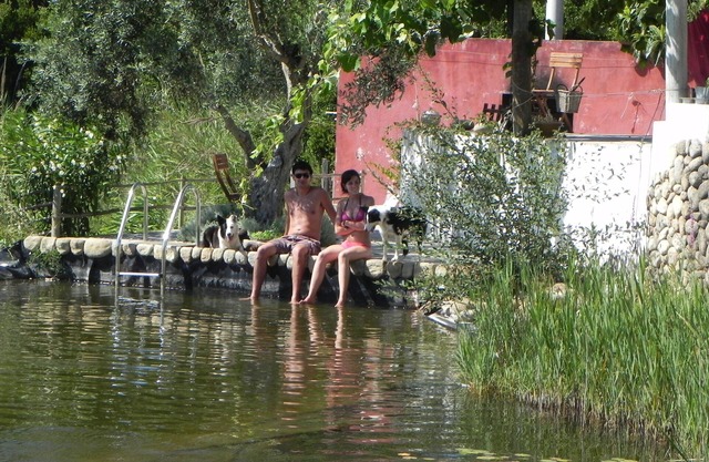Studio at an Organic Farm on the spot contemplative over the lagoon
