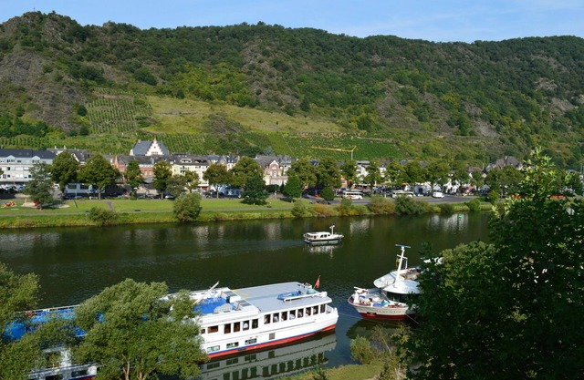 Studio Dornfelder with Moselle view