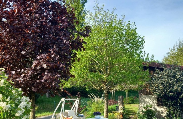 Studio en Pleine Nature Sans vis à vis