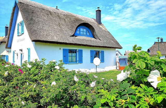 Stylish Thatched Cottage by the sea, in a quiet, beautiful location.