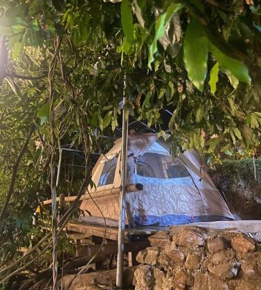 Suối Mơ Dốc Tình Glamping & Retreat