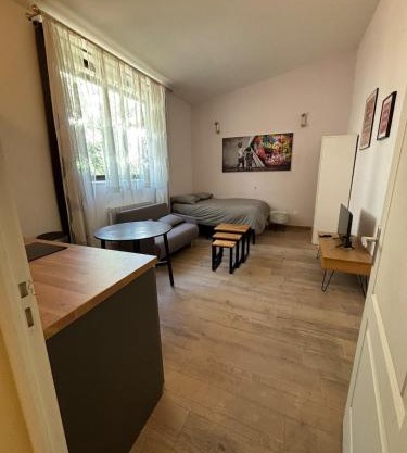 Suite Lyon Coeur Monplaisir